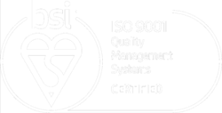 BSI Logo Smaller